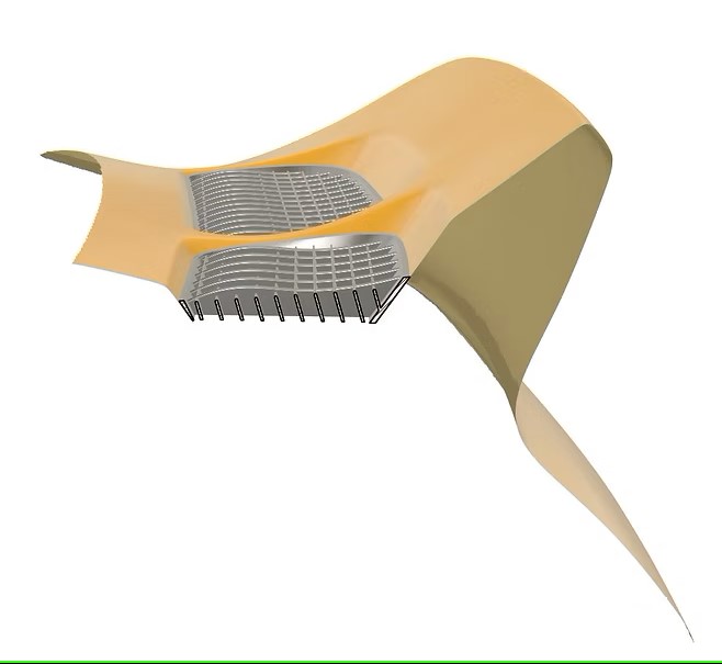 Curved ribs